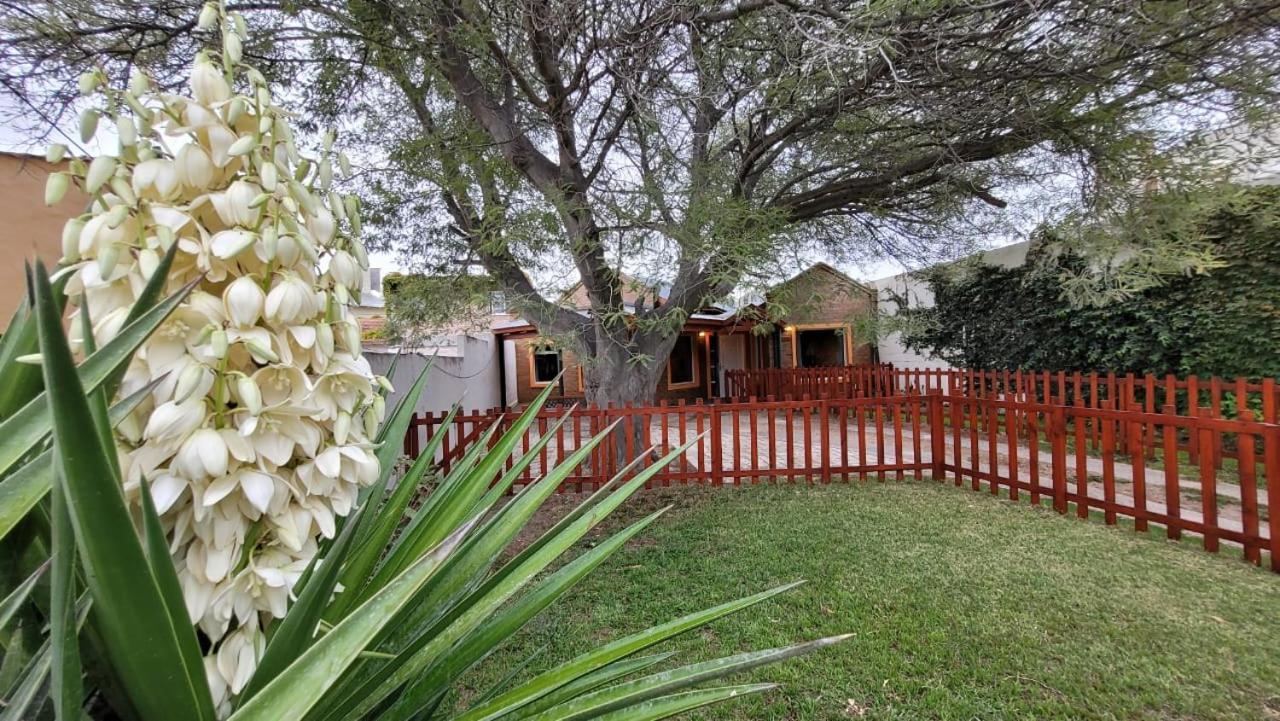 El Patio Del Aromo Appartement Puerto Madryn Buitenkant foto